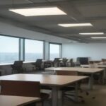 Low-Code/No-Code: Empowering Citizen Developers and Accelerating Digital Transformation